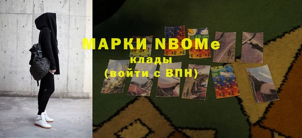 индика Каменногорск