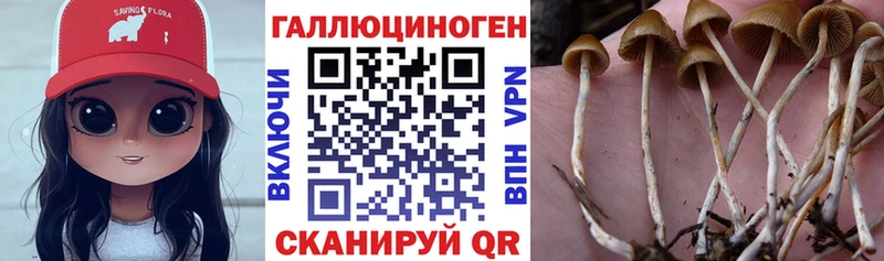 mega вход  Кола  Галлюциногенные грибы Magic Shrooms 